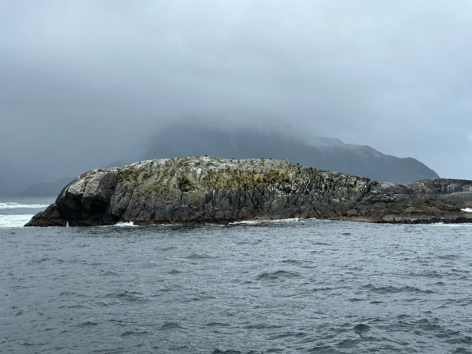 Shelter Islands, home to sea lions