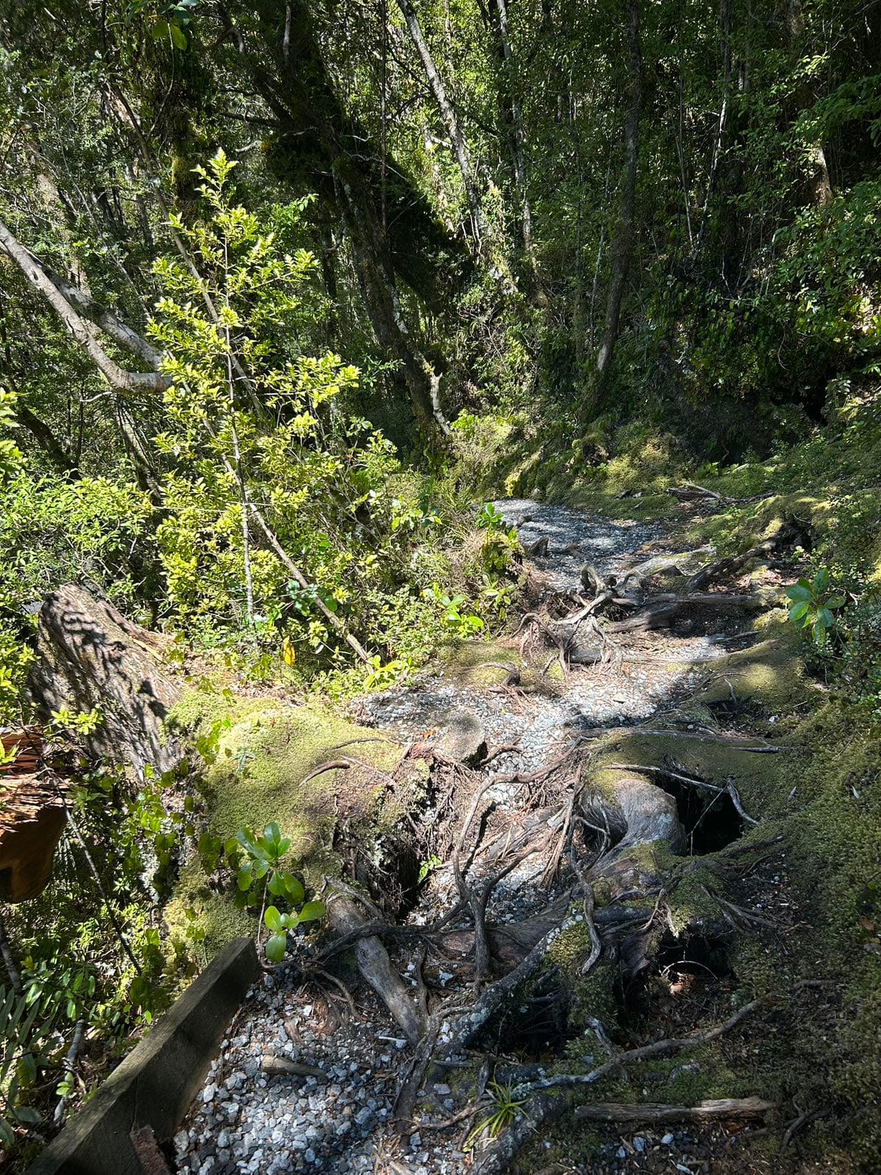 Trail along Brasell Point Nature Walk